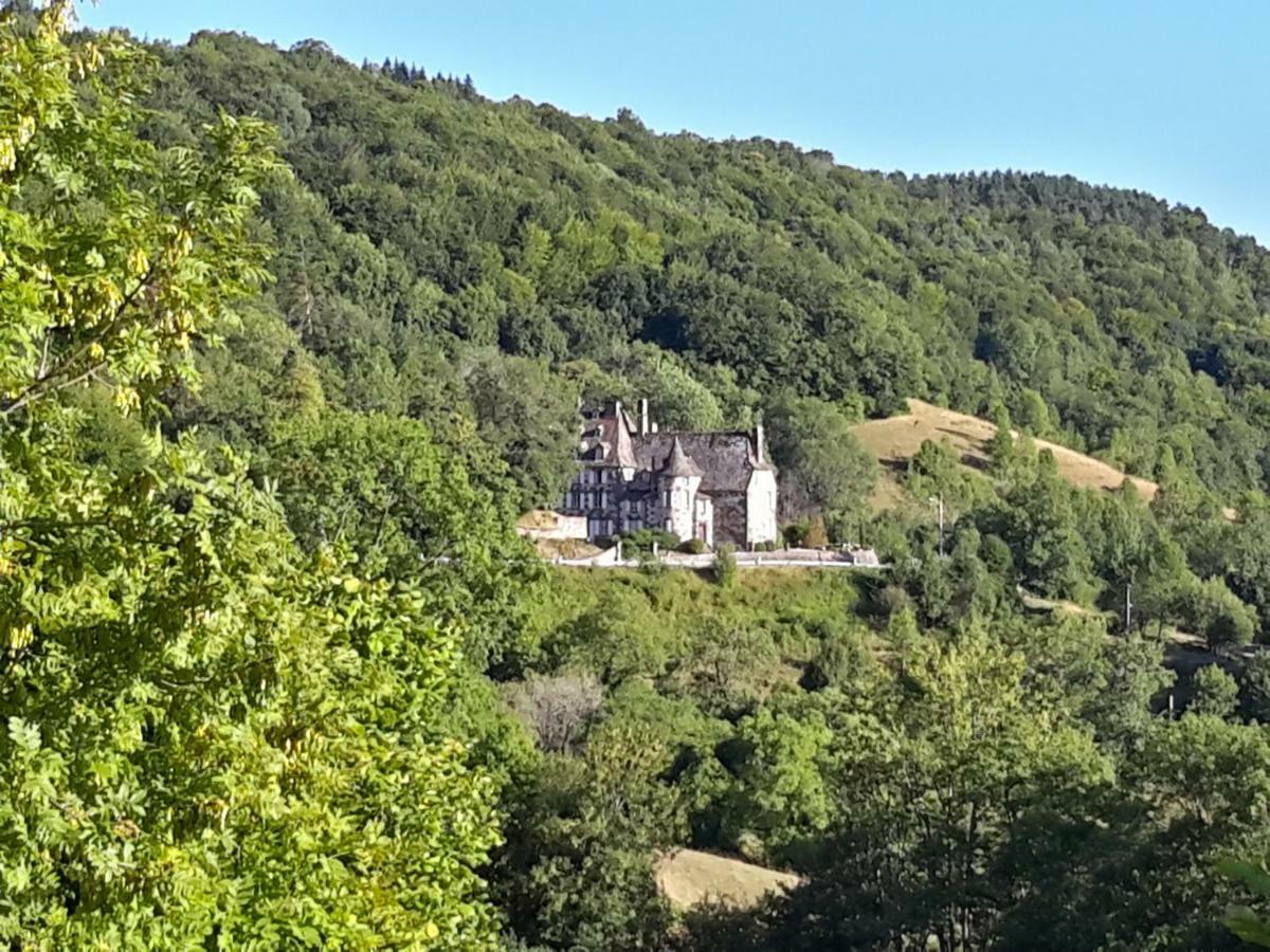 Chateau De Courbelimagne, Raulhac Buitenkant foto